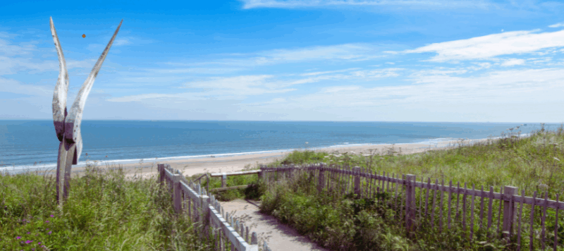 Make the Most of the Coast: Unlocking Enterprise Opportunities by the Sea thumbnail