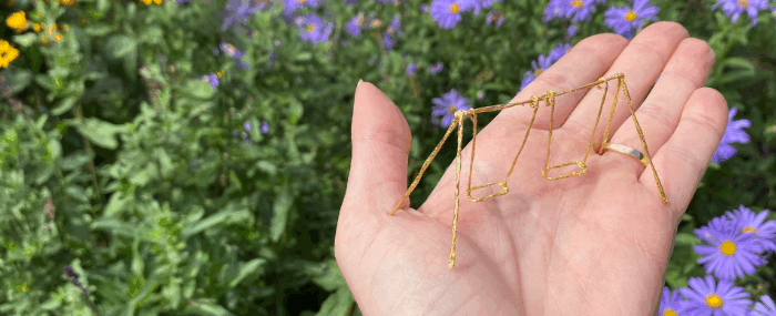 Small Pleasures: Wild Imaginings at Wharton Park (Event ID: 7709) thumbnail