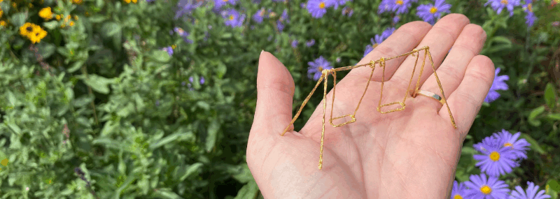 Small Pleasures: Wild Imaginings at Wharton Park (Event ID: 7709) thumbnail