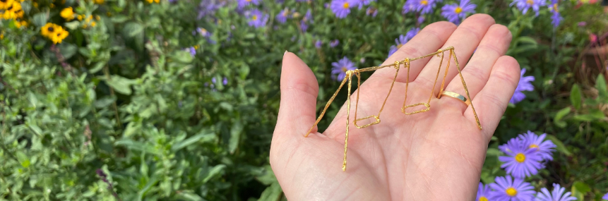 Small Pleasures: Wild Imaginings at Wharton Park